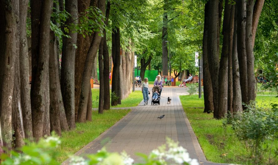 Москвичи сегодня стремятся проводить больше времени на свежем воздухе