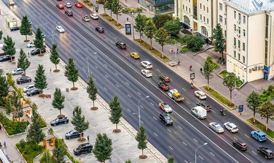 Москва становится зеленее с каждым годом