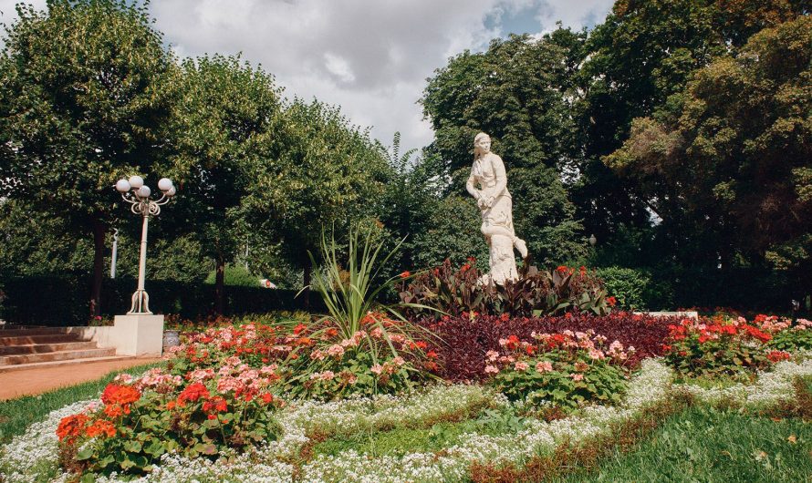 Москвичи и туристы смогут отдохнуть будущим летом на высоте