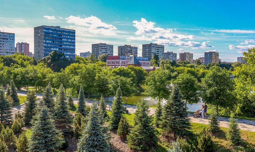 Москва станет еще зеленее