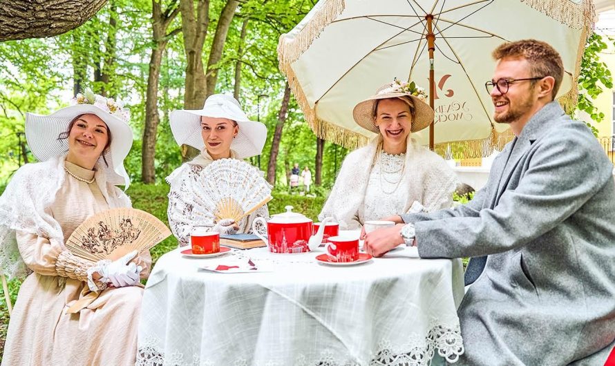 Москвичи и туристы смогут проводить лето на большом кинопикнике