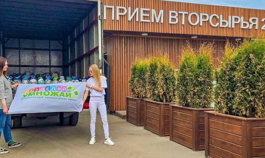 Учащиеся столичных школ проявили себя в сфере экологии